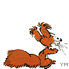 Gif animé Spirou Spip